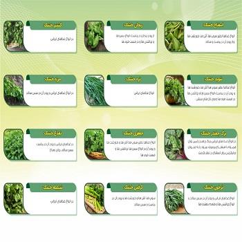 سبزیجات خشک تندیس